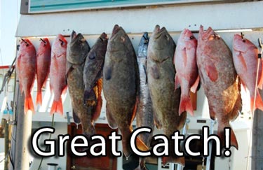 Great Catch