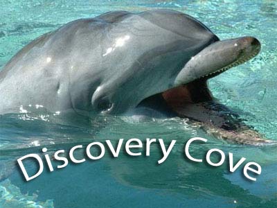 Discovery Cove